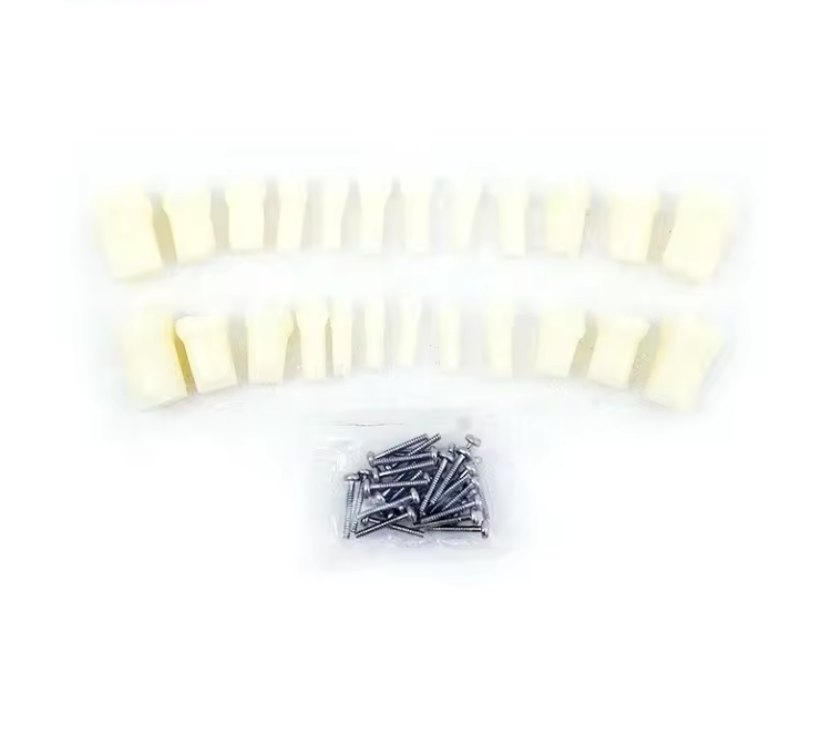 24pcs Primary Teeth With Straight Roots Model