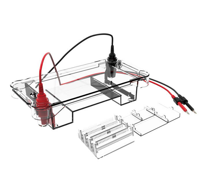 Unit&agrave; Elettroforesi Orizzontale Mini Taglia Reliant Lab GE-1 - Per Laboratorio Ricerca