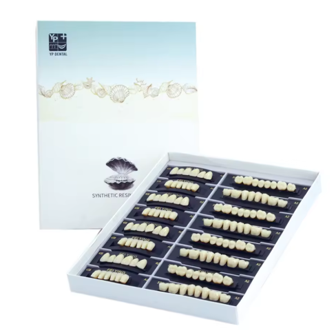 Acrylic Denture Teeth