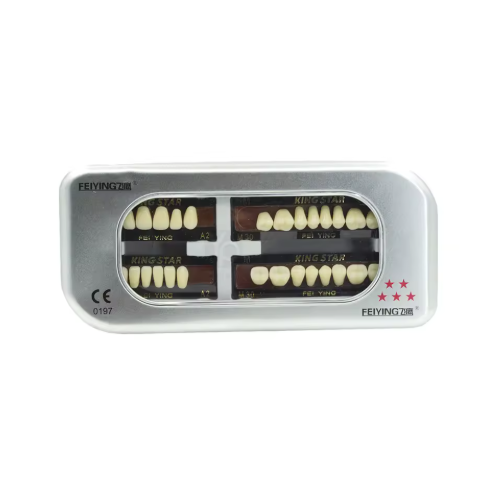 Acrylic Denture Teeth – Synthetic Resin Dental Teeth for Clinical & Laboratory Use