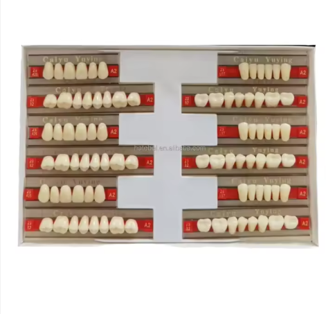 Acrylic Resin Dental Prosthesis Teeth SEO Title: Acrylic Resin Dental Prosthesis Teeth for Dental Laboratories UK Permalink: acrylic-resin-dental-prosthesis-teeth-uk Meta Description: Shop Acrylic Resin Dental Prosthesis Teeth for reliable anterior and posterior dental restorations with CE certified quality and natural aesthetics. Acrylic Resin Dental Prosthesis Teeth Professional Dental Prosthesis Solutions for Reliable Restorative Workflows Acrylic Resin Dental Prosthesis Teeth are designed to support dental laboratories, dental technicians, prosthodontists, and clinical dental professionals requiring dependable artificial teeth for removable prosthetic restorations. These CE certified upper and lower artificial acrylic resin teeth are suitable for anterior and posterior applications, including incisors, molars, and full denture restorations where natural appearance, functionality, and durability are essential. Within modern dental environments, restorative procedures demand consistent product quality, efficient workflows, and reliable aesthetic outcomes. Acrylic Resin Dental Prosthesis Teeth provide dental professionals with a practical and cost-effective solution for producing high-quality dentures and restorative prosthetics suitable for a wide range of patient requirements. Their realistic appearance and functional bite performance help improve patient confidence while supporting long-term clinical outcomes. At Niche Office Solutions, we understand the importance of reliable dental consumables and restorative products within busy healthcare and laboratory settings. These artificial acrylic teeth are designed to integrate seamlessly into professional dental workflows, supporting efficient prosthesis production and dependable patient care. How Acrylic Resin Dental Prosthesis Teeth Are Used in Practice Dental professionals and laboratory technicians use Acrylic Resin Dental Prosthesis Teeth during the creation and adjustment of removable dentures and prosthetic restorations. The process typically begins with patient impressions and bite registration obtained by the clinician. Once impressions are received by the laboratory, technicians select the appropriate tooth shade, size, and shape to match the patient’s facial structure and aesthetic requirements. The acrylic resin teeth are then positioned into the denture base wax setup before being processed into the final prosthetic appliance. Their anatomical design allows for realistic alignment and effective occlusion, helping technicians produce restorations that deliver both comfort and functionality. In real-world dental workflows, efficiency and consistency are essential. Dental laboratories handling multiple restorative cases daily require prosthetic teeth that are straightforward to contour, polish, and integrate into existing denture systems. These Acrylic Resin Dental Prosthesis Teeth support streamlined production processes while maintaining high aesthetic standards. They are particularly valuable within: Dental laboratories Prosthodontic clinics Educational dental training centres Specialist restorative practices Mobile and community dental services Features and Benefits of Acrylic Resin Dental Prosthesis Teeth Natural Aesthetic Appearance The layered acrylic resin construction helps mimic the appearance of natural dentition, supporting improved patient satisfaction and confidence. The anatomical contours and realistic translucency allow dental professionals to create restorations that blend naturally within the oral environment. CE Certified Professional Quality These prosthetic teeth are CE certified, helping ensure compliance with recognised medical device standards for professional healthcare use. This supports confidence in clinical safety and product consistency. Suitable for Anterior and Posterior Restorations The product range supports both anterior and posterior restorative requirements, including incisors, molars, and full denture setups. This flexibility allows dental technicians to standardise restorative workflows using one dependable product family. Durable Acrylic Resin Construction The acrylic resin formulation is designed to provide durability and wear resistance during normal patient use. This helps support long-term performance while reducing the need for premature prosthesis replacement. Cost-Effective Restorative Solution Dental clinics and laboratories must carefully balance treatment quality with operational efficiency. Acrylic Resin Dental Prosthesis Teeth provide a practical and affordable restorative option without compromising professional standards or aesthetic outcomes. Efficient Laboratory Workflow Integration The prosthetic teeth are designed for compatibility with standard denture fabrication techniques, allowing technicians to integrate them into existing laboratory procedures with minimal disruption. Acrylic Resin Dental Prosthesis Teeth vs Alternative Porcelain Teeth When selecting restorative denture teeth, dental professionals often compare acrylic resin teeth with porcelain alternatives. Acrylic Resin Dental Prosthesis Teeth offer several practical advantages for modern dental workflows. Acrylic teeth are generally lighter in weight, easier to adjust chairside, and simpler to contour during fabrication. They also bond effectively to acrylic denture bases, helping reduce the risk of detachment during long-term use. Porcelain teeth may offer increased hardness and wear resistance in some applications, but they can be more brittle and may produce increased stress on opposing natural teeth. They are also typically heavier and more difficult to adjust during laboratory processing. For many dental laboratories and prosthodontic clinics, acrylic resin teeth provide the best balance of aesthetics, functionality, affordability, and workflow efficiency. Instructions for Use Step 1 – Case Assessment Review the patient’s clinical requirements, including bite registration, tooth shade selection, and prosthetic design specifications. Step 2 – Tooth Selection Select the appropriate upper or lower tooth set based on anatomical size, shade matching, and restorative requirements. Step 3 – Wax Setup Position the Acrylic Resin Dental Prosthesis Teeth within the wax denture setup while ensuring proper alignment, occlusion, and aesthetic positioning. Step 4 – Trial and Adjustment Carry out trial fitting procedures where applicable and make necessary adjustments to bite alignment and appearance. Step 5 – Final Processing Process the denture using standard acrylic denture fabrication procedures before finishing and polishing the completed prosthesis. Step 6 – Clinical Fitting The clinician fits the completed prosthesis and performs any required chairside adjustments to ensure patient comfort and function. Specifications SpecificationDetailsProduct TypeArtificial Acrylic Resin Dental TeethApplicationDenture and Prosthetic RestorationTooth TypesIncisor, Molar, Anterior, PosteriorPositioningUpper and LowerMaterialAcrylic ResinCertificationCE CertifiedIntended UsersDental Laboratories and Dental ProfessionalsCompatibilityStandard Denture Fabrication SystemsFinishNatural Aesthetic Tooth DesignUsage EnvironmentClinical and Laboratory SettingsSterilityNon-sterileReusabilitySingle patient prosthetic application Frequently Asked Questions Are Acrylic Resin Dental Prosthesis Teeth suitable for full denture restorations? Yes. These prosthetic teeth are suitable for both partial and full denture restorative applications. Their anatomical design supports natural-looking prosthetic outcomes across a wide range of patient cases. Can these prosthetic teeth be adjusted during fitting? Yes. Acrylic resin teeth can typically be adjusted and polished during laboratory fabrication and chairside fitting procedures, making them practical for modern restorative workflows. Are these dental prosthesis teeth suitable for professional laboratory use? Yes. The product is designed specifically for professional dental laboratories, prosthodontic clinics, and qualified dental professionals involved in restorative procedures. Why do many dental laboratories prefer acrylic resin teeth? Many laboratories prefer acrylic resin teeth because they provide reliable aesthetics, lighter weight construction, easier processing, and effective bonding with acrylic denture bases. Supporting Modern Dental Workflows Modern restorative dentistry requires products that support efficiency, reliability, patient satisfaction, and long-term value. Acrylic Resin Dental Prosthesis Teeth help dental professionals achieve high-quality restorative outcomes while maintaining practical workflow efficiency within demanding laboratory and clinical environments. Their combination of realistic aesthetics, durable acrylic resin construction, CE certification, and restorative flexibility makes them a dependable solution for dental prosthesis fabrication across a wide range of applications. For related healthcare and clinical products, browse: https://www.nicheofficesolutions.co.uk/healthcare-supplies-uk/ You may also be interested in: https://www.nicheofficesolutions.co.uk/product-category/medical-equipment/ For authoritative dental guidance and professional standards, visit: https://www.gdc-uk.org/ https://www.hse.gov.uk/healthservices/index.htm Conclusion Acrylic Resin Dental Prosthesis Teeth provide dental professionals and laboratories with a dependable restorative solution that combines natural aesthetics, practical usability, and cost-effective long-term performance. Suitable for anterior and posterior prosthetic applications, these CE certified restorative teeth support modern dental workflows while helping clinicians and technicians deliver reliable patient outcomes with confidence.